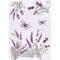 Levendula Butterfly A/4 gumis mappa