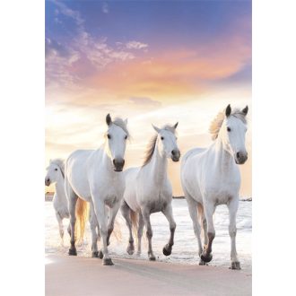 Lovas Gallop A/4 gumis mappa