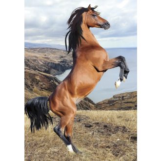 Lovas Wild Spirit A/4 gumis mappa