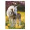 Lovas Spring Foal A/4 gumis mappa