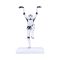 Star Wars Szturmowiec - Crane Kick (magasság: 20,5 cm)